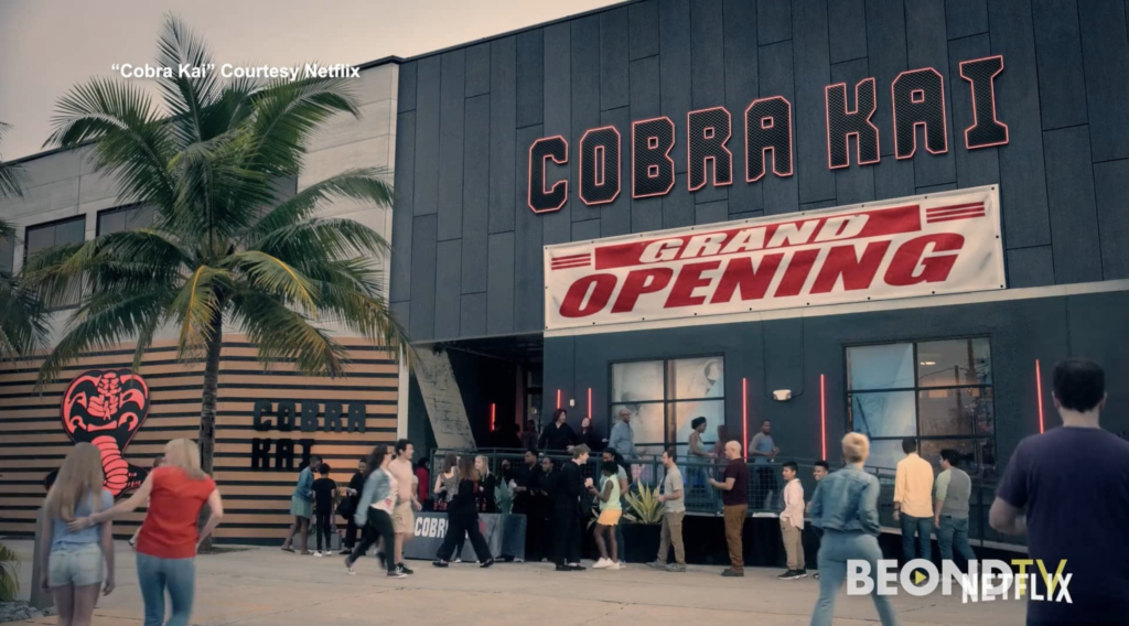 “Cobra Kai” on Netflix: Viviana Vigil review